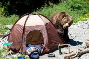 Bear proof containers for cheap backpacking