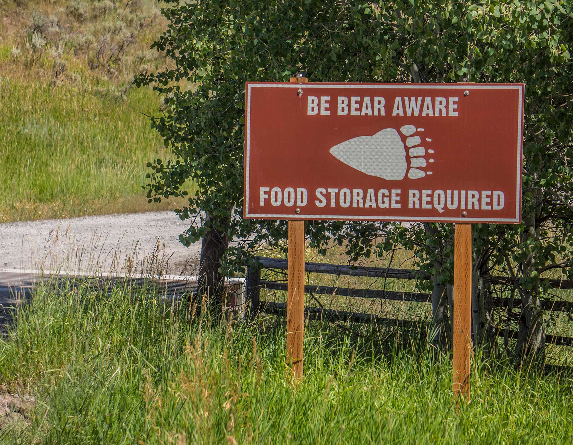 Best Bear Proof Containers for Camping & Backpacking ActionHub