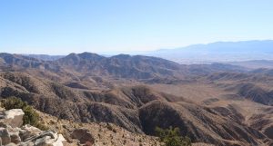 joshua-tree-Keys-View