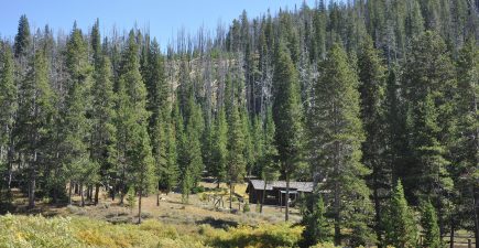 forest-service-cabin-wyoming-SashaFenix
