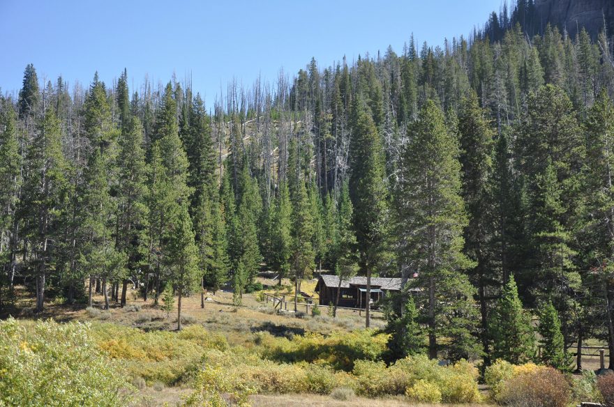 forest-service-cabin-wyoming-SashaFenix