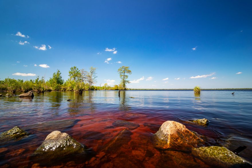 great-dismal-swamp-kayak