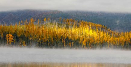 glacier-national-park-fog-fall-color
