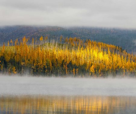 glacier-national-park-fog-fall-color