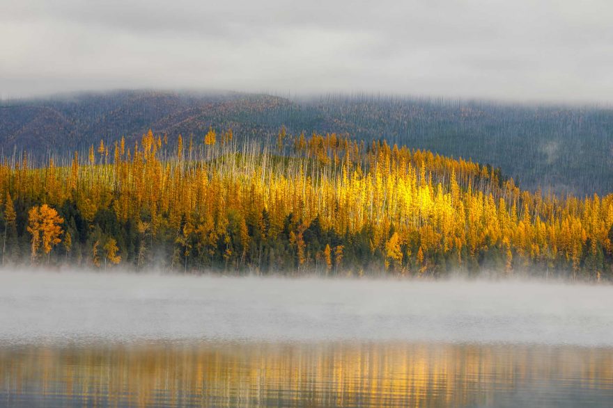 glacier-national-park-fog-fall-color