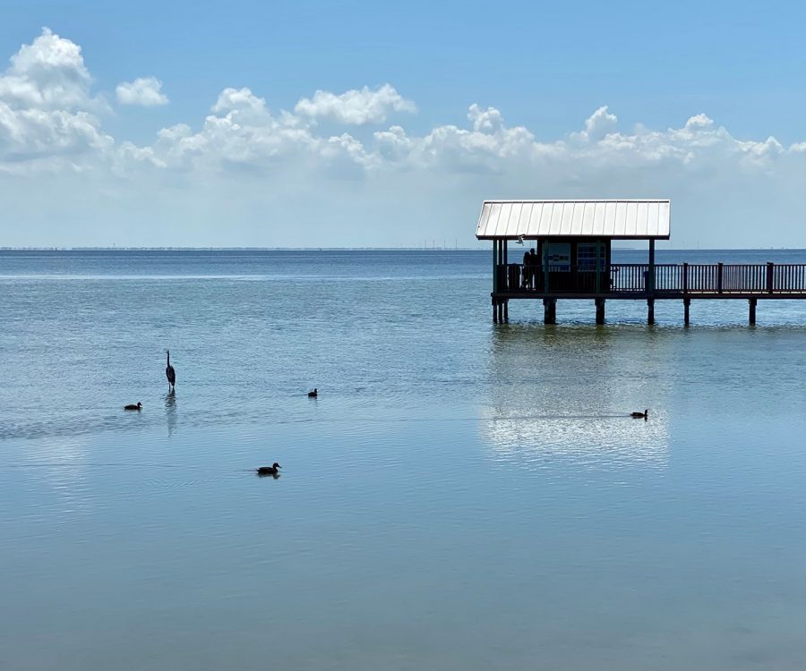 san-padre-island-NatureTrail