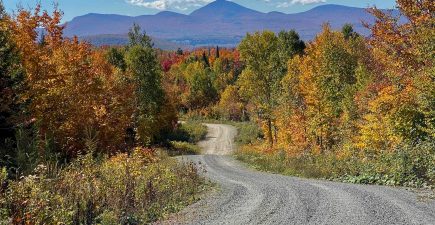 Vermont2021-SuzanneDowning