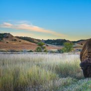 badlands-national-park-wildlife