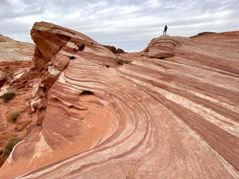 ValleyofFire_01_SuzanneDowning