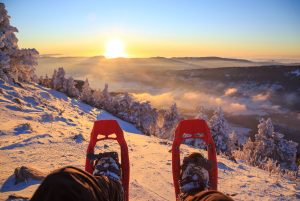 snowshoeing-for-beginners-001
