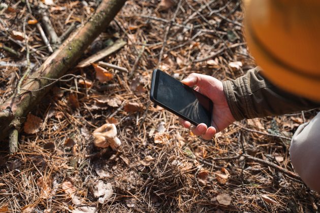 smartphone-plants-nature-apps-mushroom
