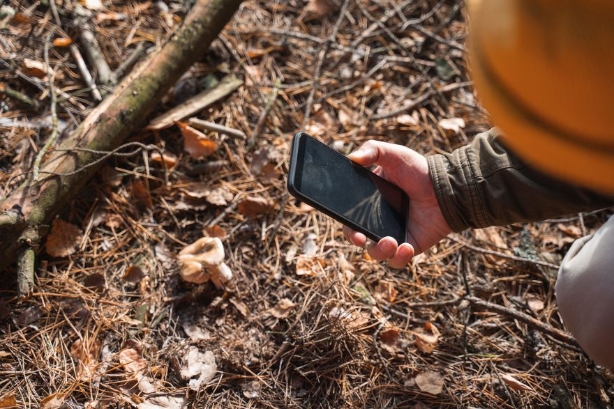 smartphone-plants-nature-apps-mushroom