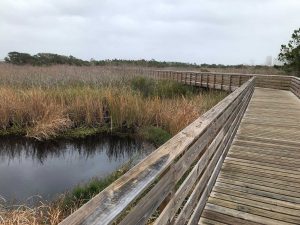 Gulf-Shore-SP-trail-boardwalk