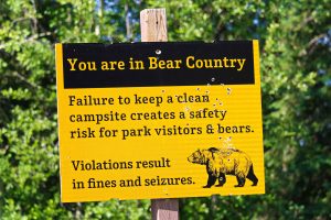 bear-country-sign-safety