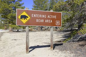 active-bear-area-sign