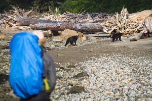 hiker-black-bear-encounter