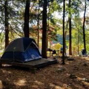 new-hampshire-campsite-forest