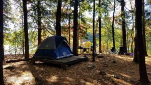 new-hampshire-campsite-forest