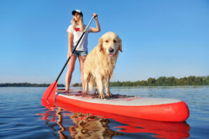 paddle-boarding-dog