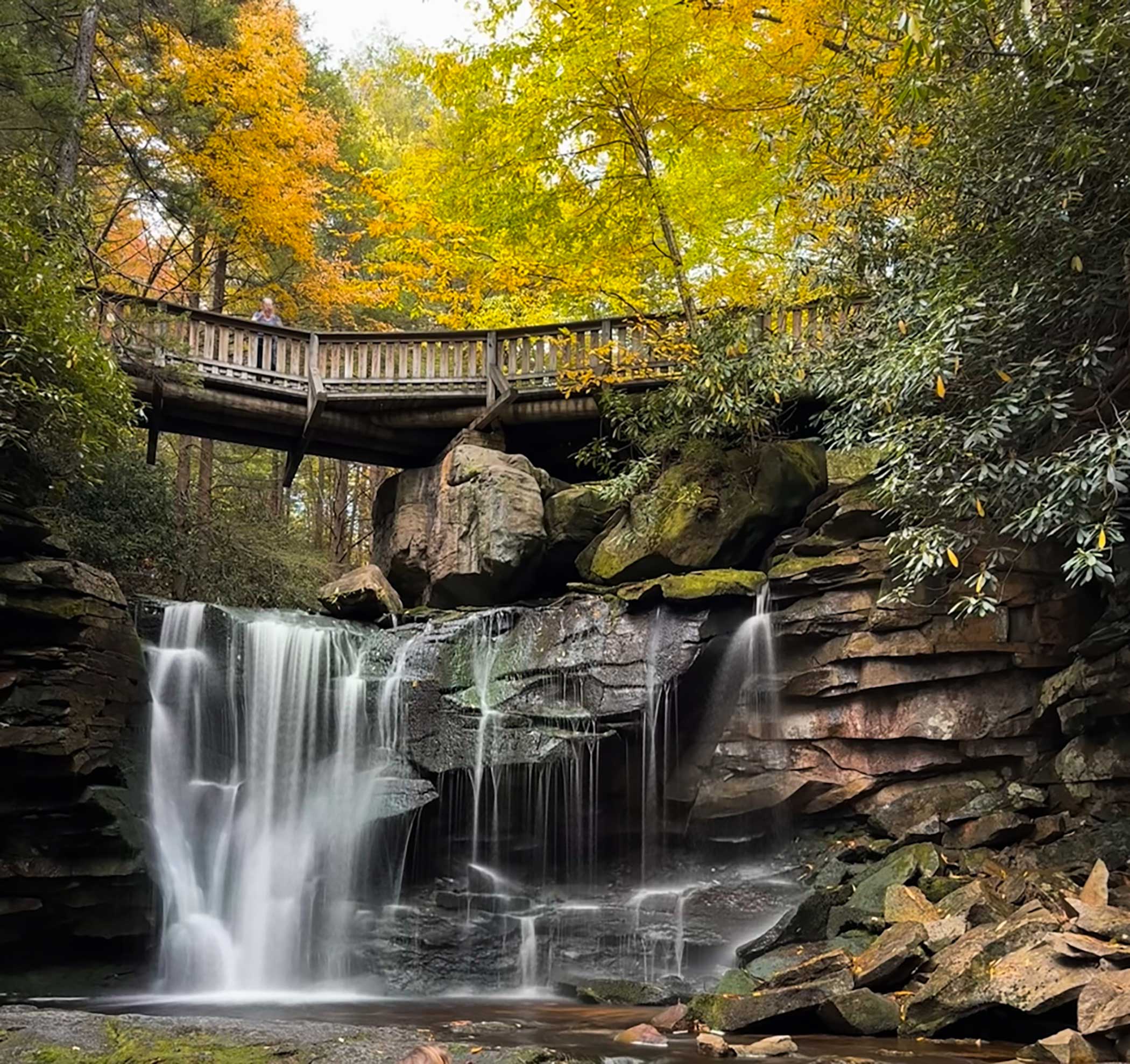 See Stunning Fall Foliage At West Virginia's Blackwater Falls State Park