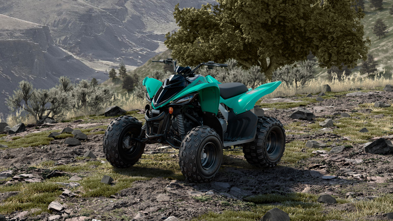 Feature Yamaha Raptor Beauty