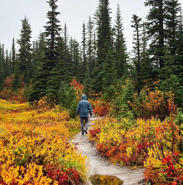 Snow-lake-trail-mt-rainier