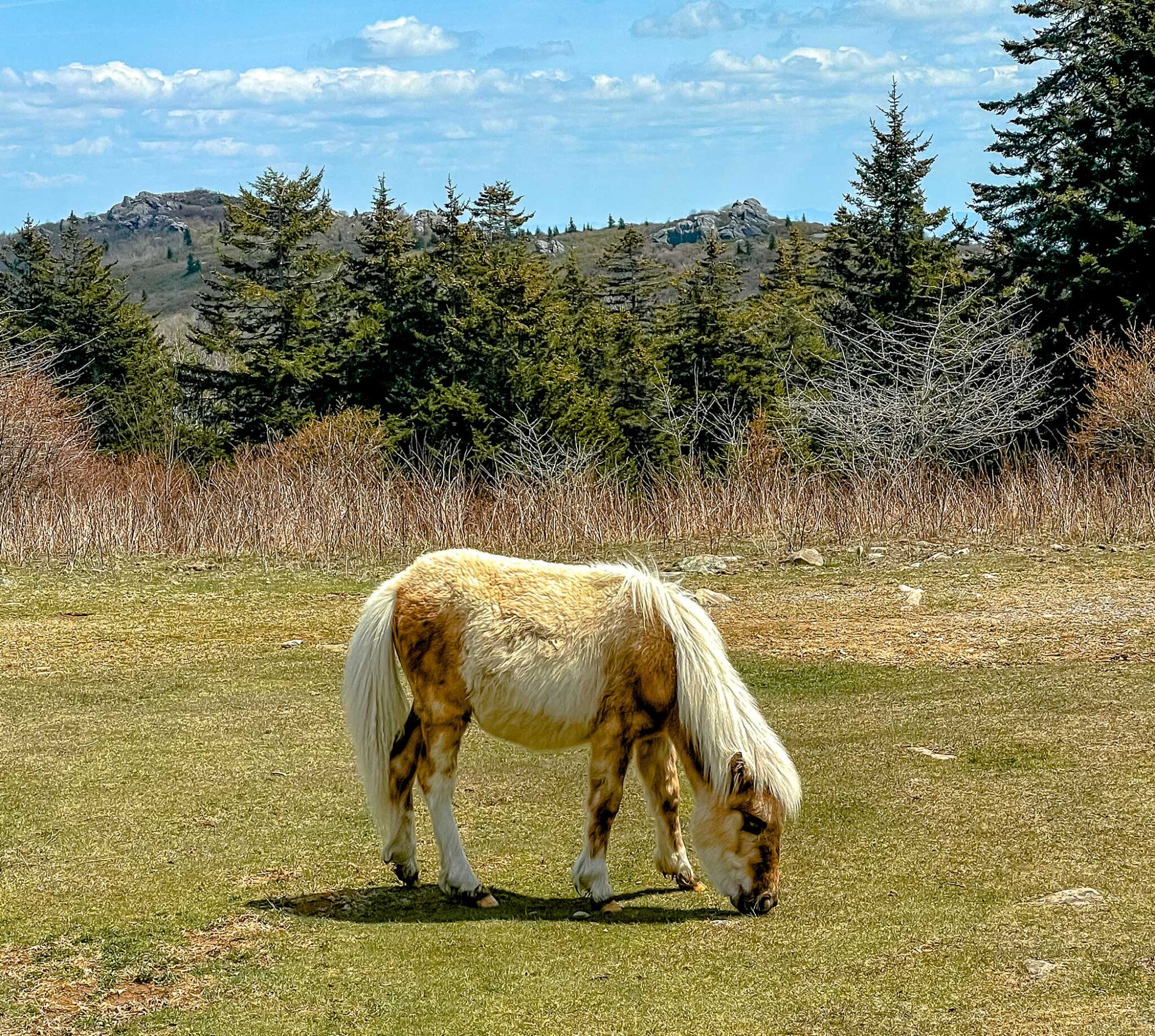 Small Town Spotlight: The Hidden Gems Around Abingdon, Va. | ActionHub