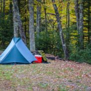 tent-camping-forest-east-coast