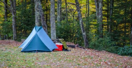 tent-camping-forest-east-coast