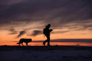 hiking-dog-unsplash-sponsored