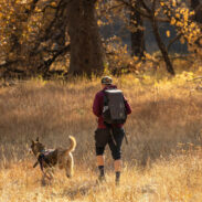 hiking-dog-unsplash-sponsored