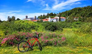 mackinac-island-biking-michigan