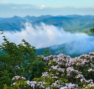 views in the Heart of the High Country