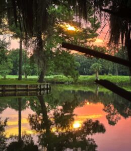 Hilton-Head-Palmetto-dunes-area