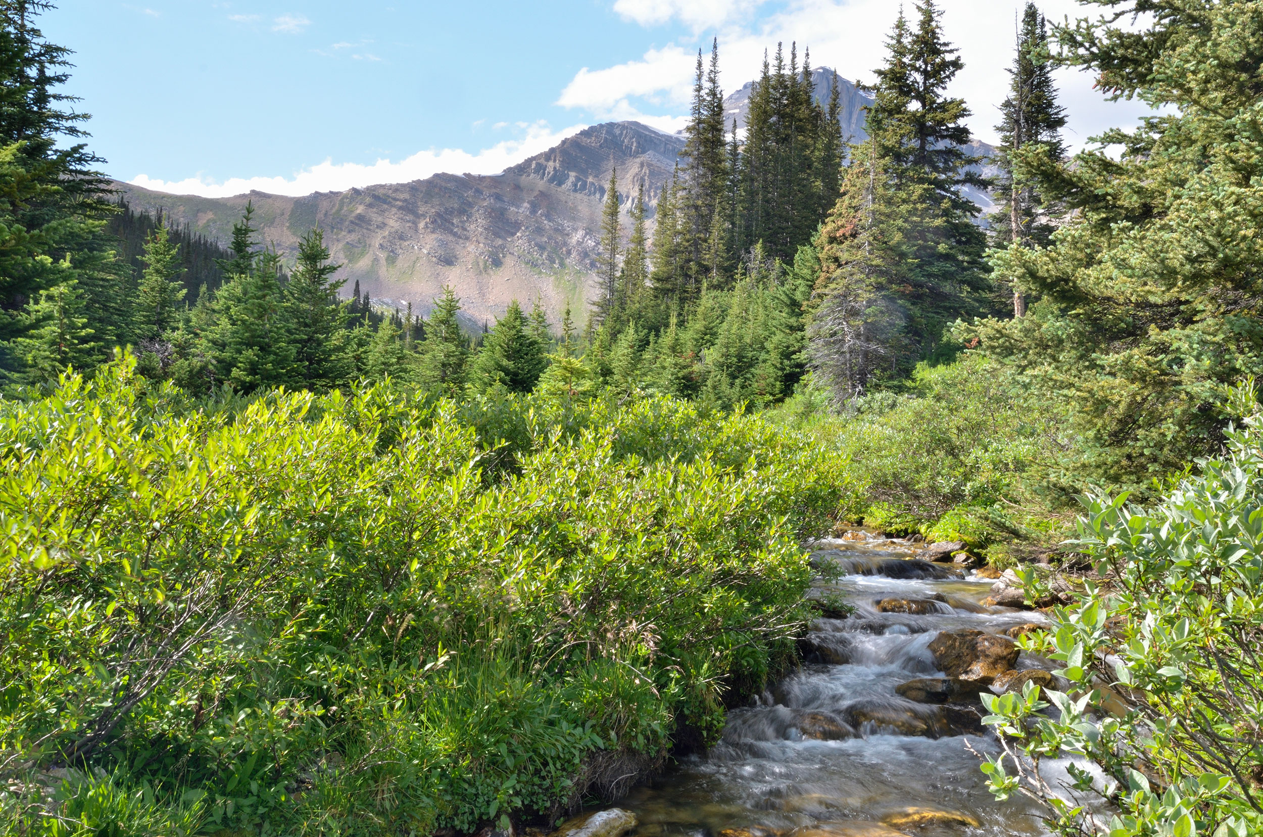 Banff-National-Park