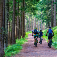 forest-mountain-biking-sponsored