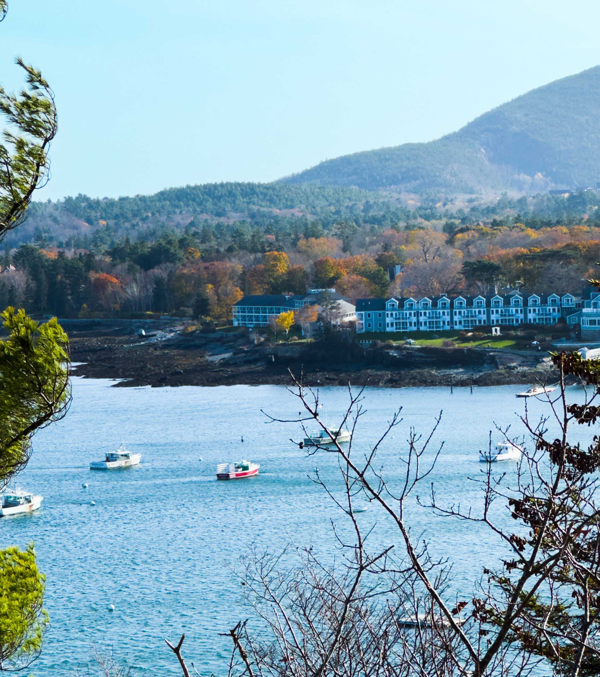 Acadian-National-Park-Bar-Island