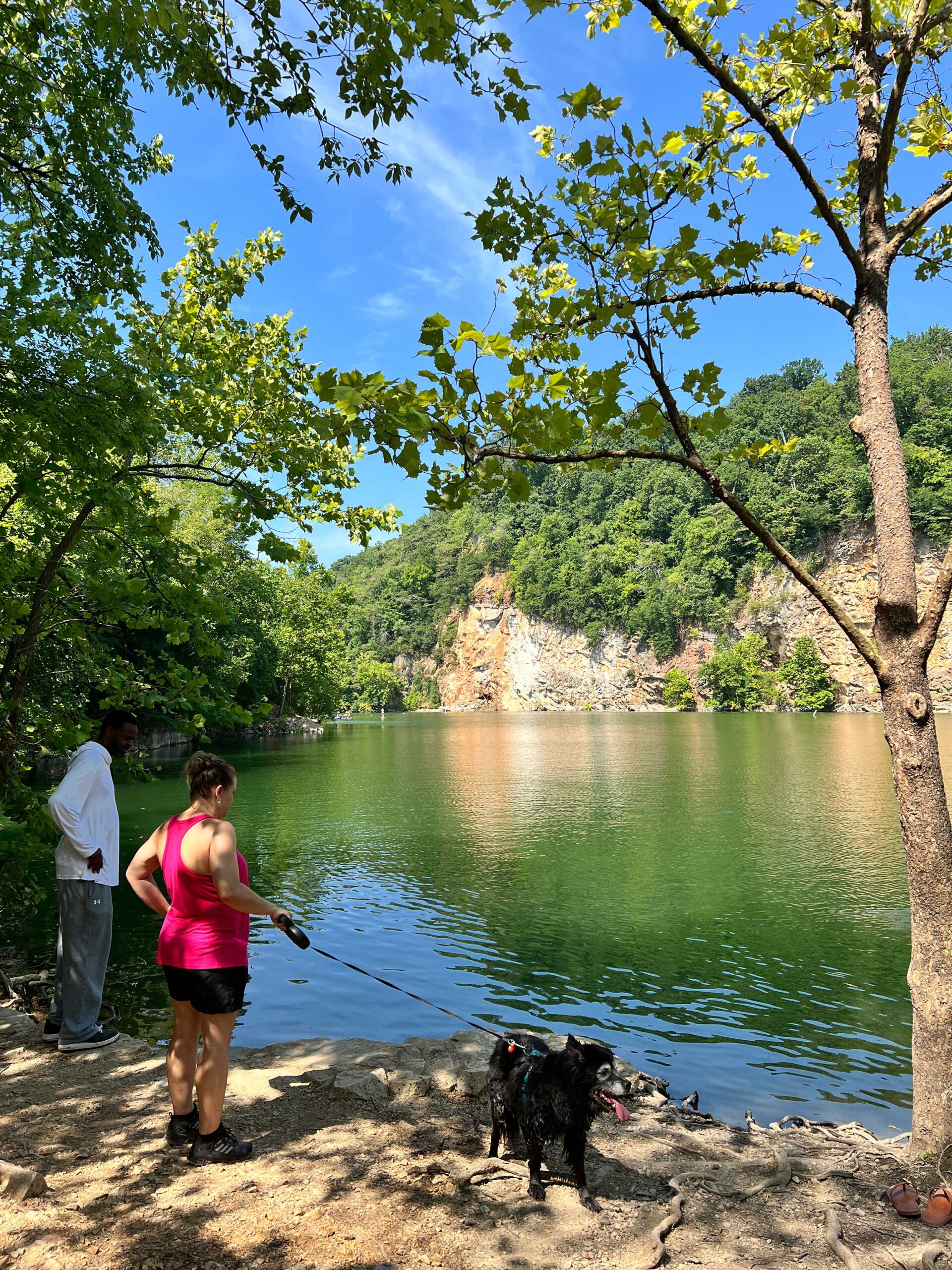 The Augusta Quarry at Ijams Nature Center