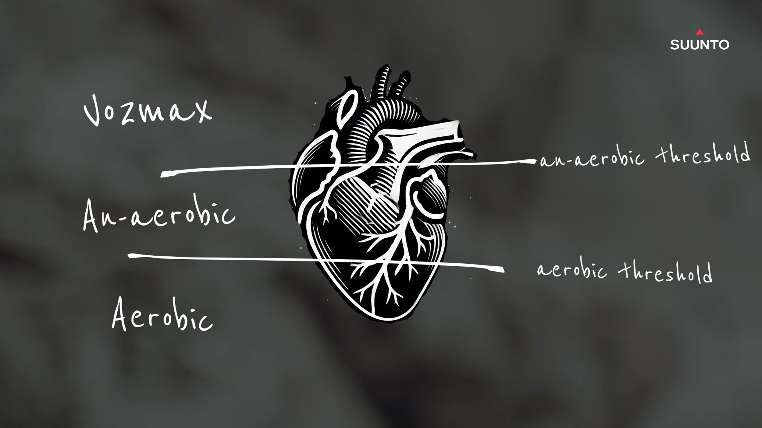 Suunto-ZoneSense-heart