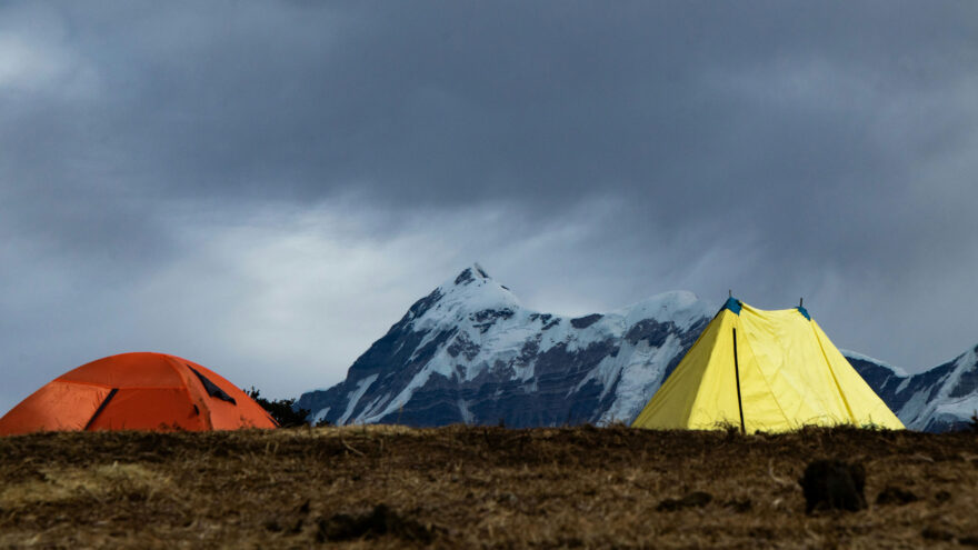 raghav-yadav-tents-sponsored