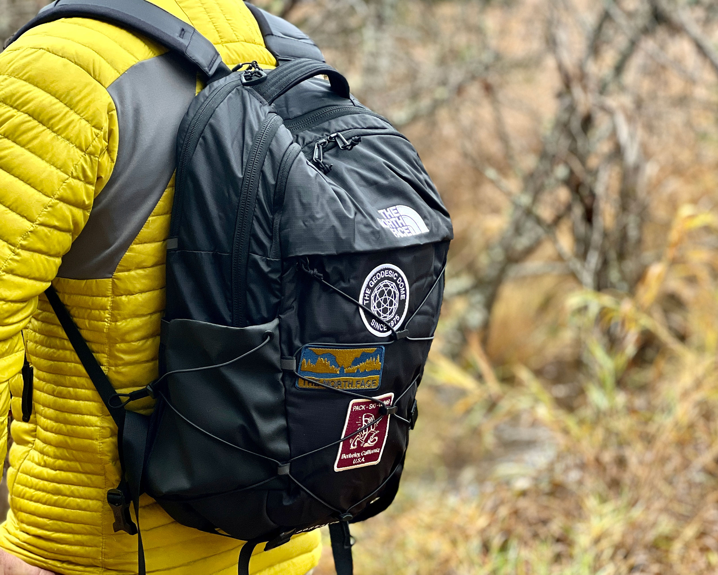 North Face Borealis backpack