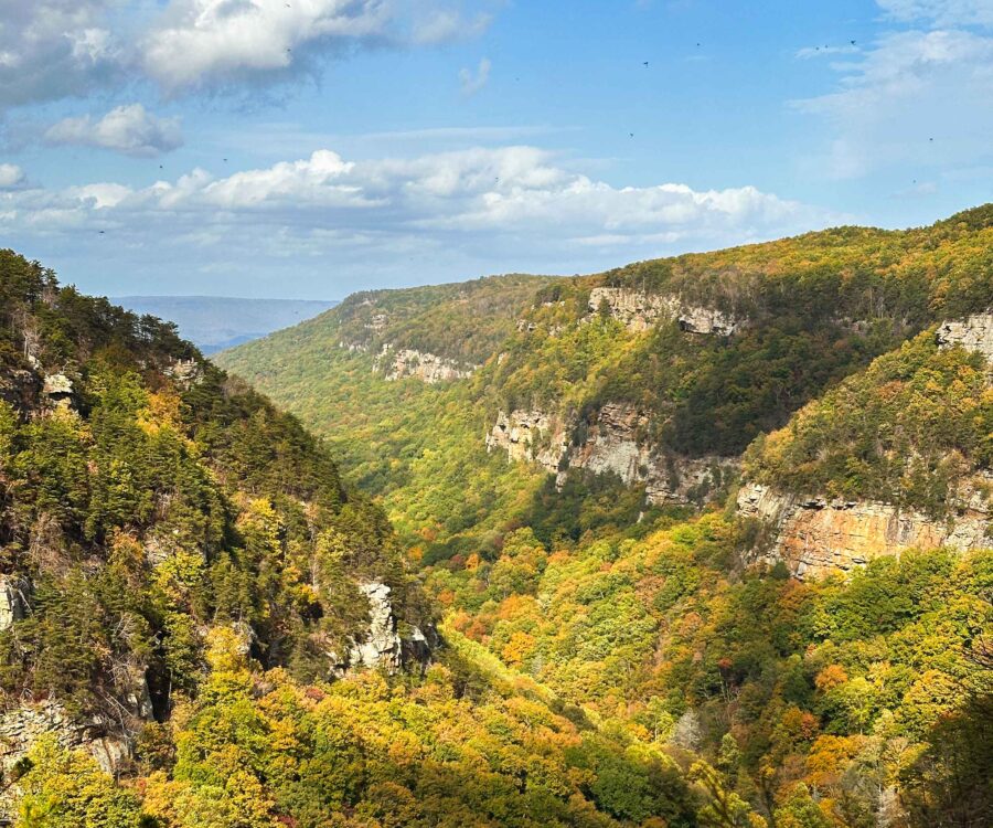 Lookout_Mountain_Georgia_View