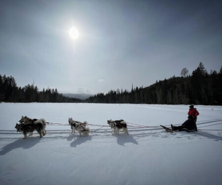 Dog-Sledding-2-Photo-credit-Base-Camp-Bigfork