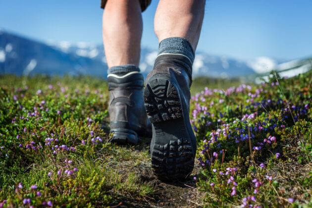 hiking-wildflowers-spring