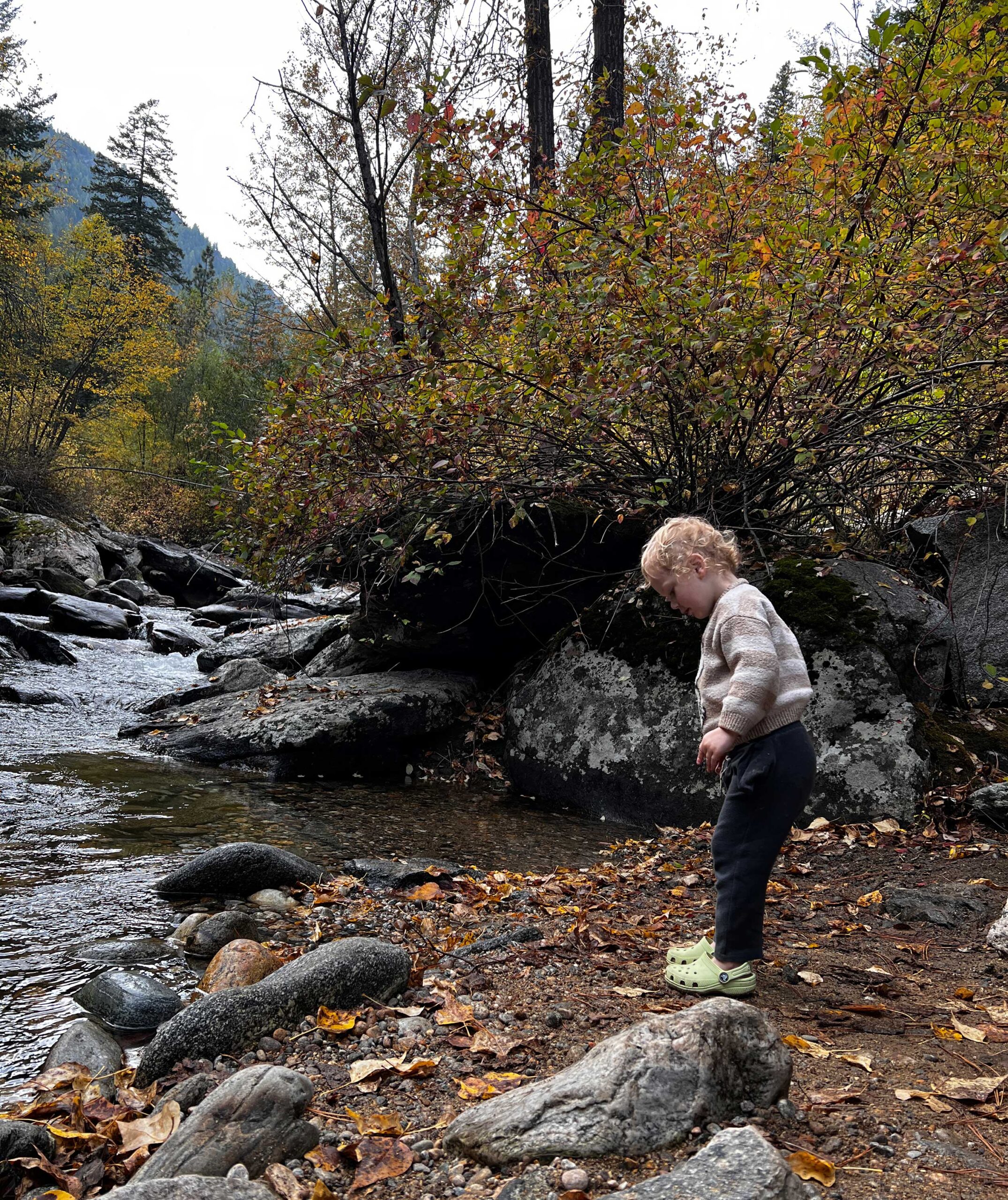 Exploring-Kootenei-Creek_Photo-by-Suzanne-Downing