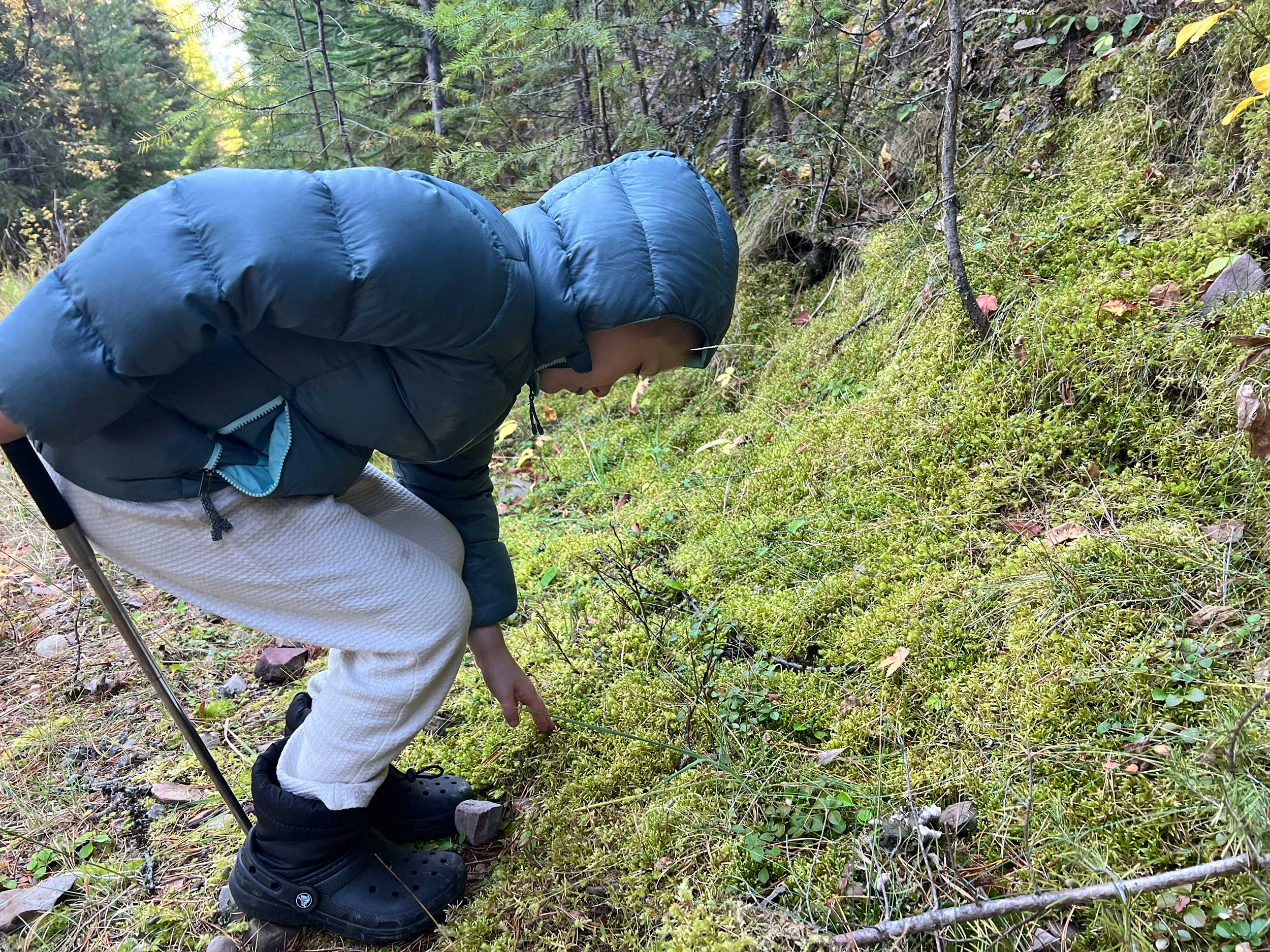 Exploring-Moss_Photo-by-Suzanne-Downing