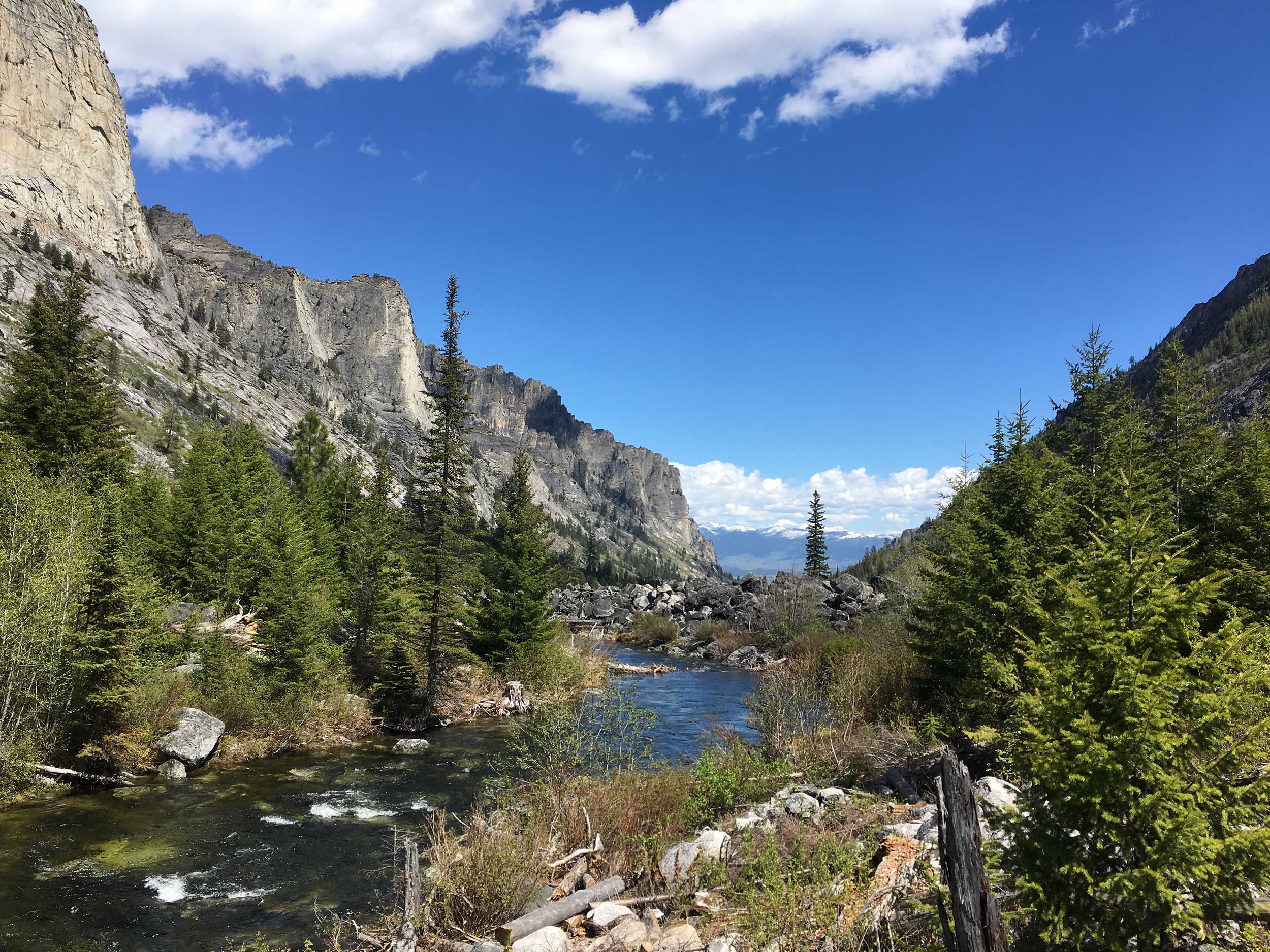 Bass Creek Trail